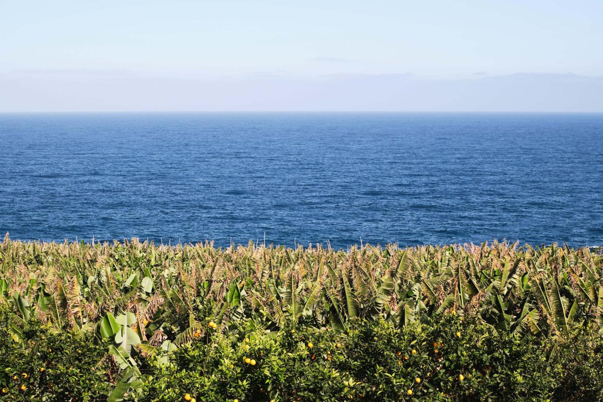 דירות San Andres  El Convento II Tranquilidad Y Vistas Unicas מראה חיצוני תמונה